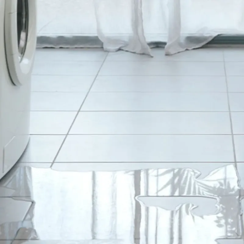 Appliance Leak Cleanup in Will County, IL