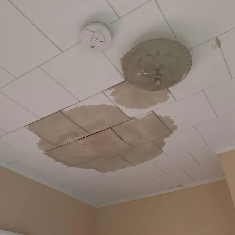 Ceiling Water Damage Repair in Will County, IL
