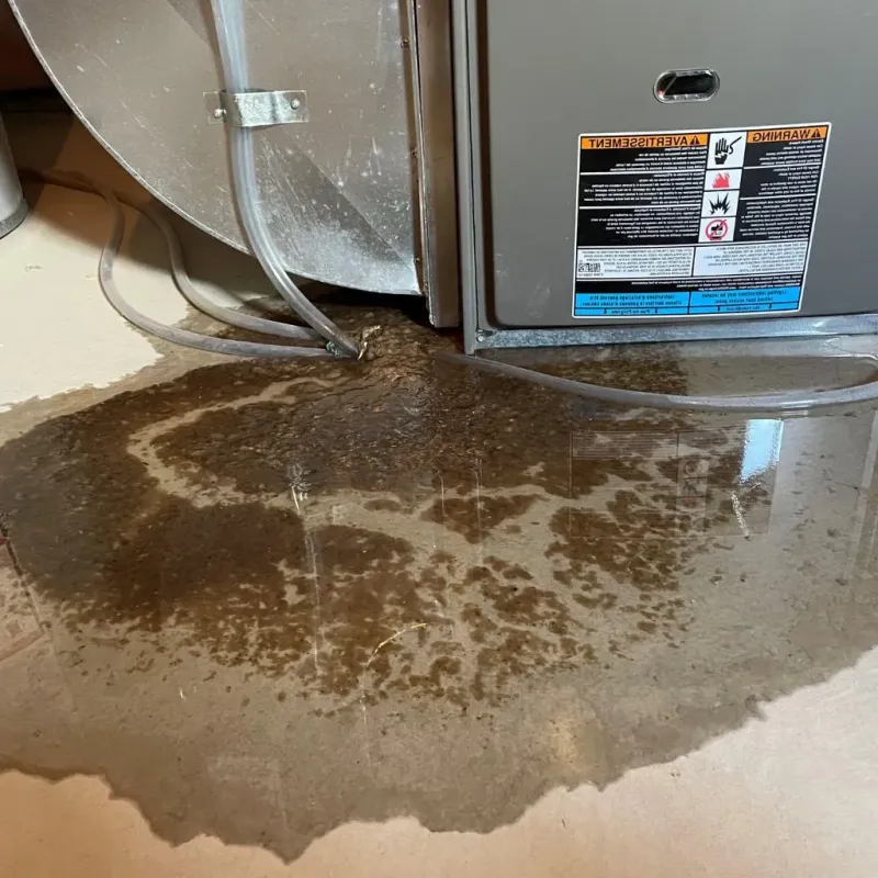 Pipe Burst and Leak Restoration in Will County, IL