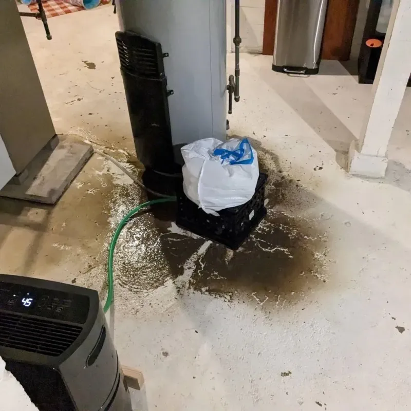 Sewage Backup Cleanup Service in Will County, IL